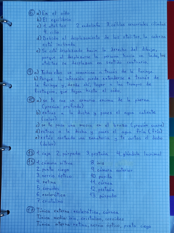 Sentidos-III.jpg