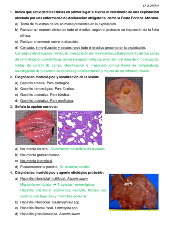 Solucion-conjunto-examen-II.pdf
