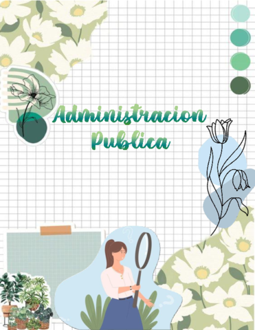 ADMINISTRACION-PUBLICA.pdf