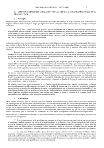 Leccion-6-MEDIDAS-CAUTELARES.pdf