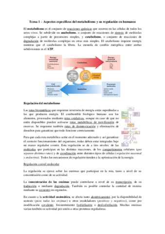 Tema 1 - Aspectos específicos del metabolismo humano.pdf