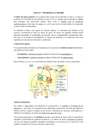 Tema 4.1 - Metabolismo en obesidad.pdf
