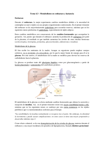 Tema 4.3 - Metabolismo en embarazo y lactancia.pdf