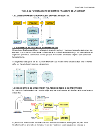 TEMA-3.pdf