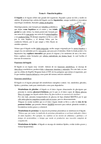 Tema 6 - Función hepática.pdf
