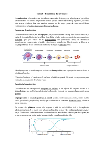 Tema 8 - Bioquímica del eritrocito.pdf