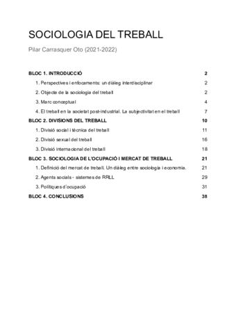 Apunts-Treball-NETS.pdf