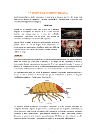 T7-Crustacea-diversidad-y-ecologia.pdf