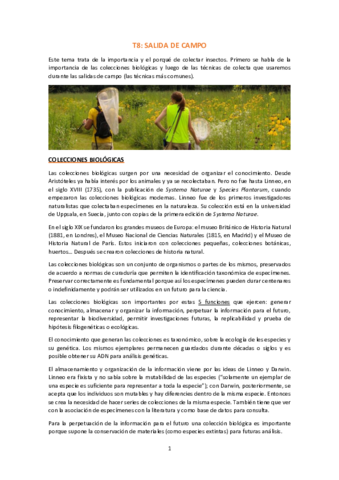 T8-Salida-de-Campo.pdf