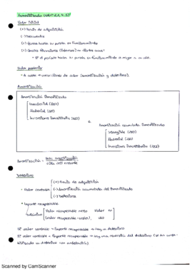 Resumen Inmovilizado.pdf