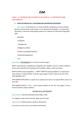 TEMA 1 SIG.pdf