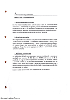 Tema 5 (fondos propios).pdf