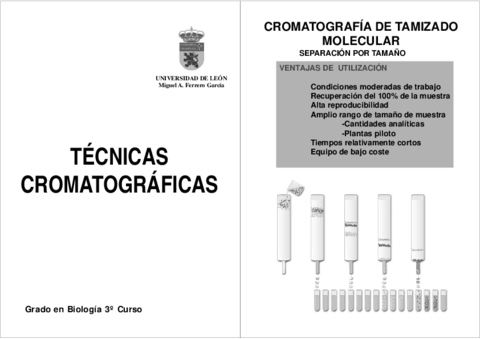 TECNICAS-CROMATOGRAFICAS.pdf
