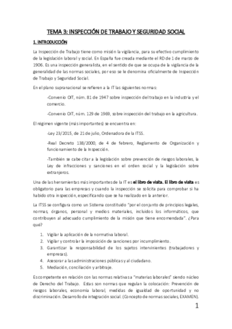 TEMA 3 INSPECCION DE TRABAJO.pdf