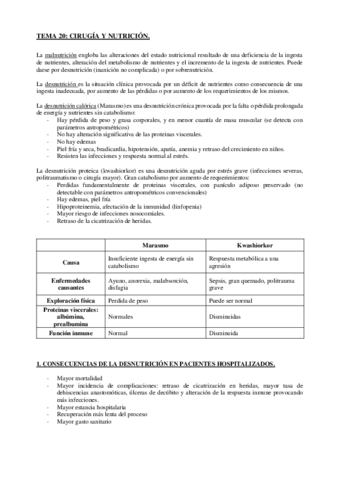 Tema-20.pdf