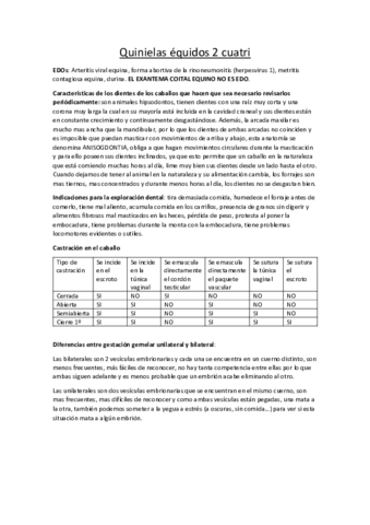 Quinielas-equidos-2-cuatri.pdf