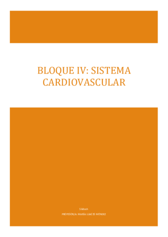 BLOQUE-IV.pdf