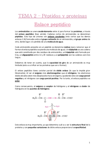 TEMA-2-Peptidos-y-proteinas.pdf