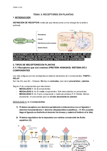 TEMA-13-SC-1.pdf