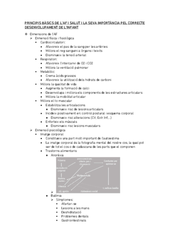 PRINCIPIS-BASICS.pdf