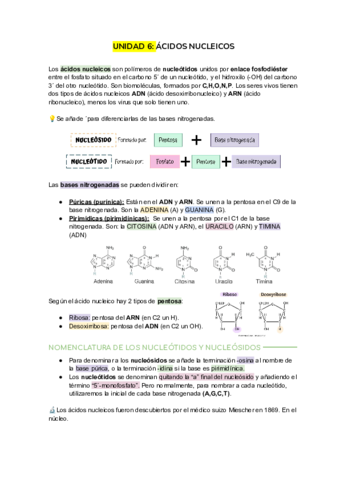 Acidos-nucleicos.pdf