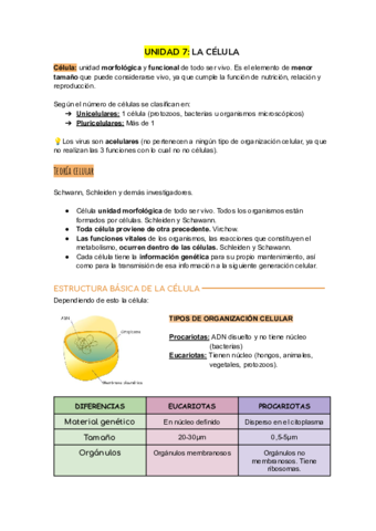 La-celula.pdf