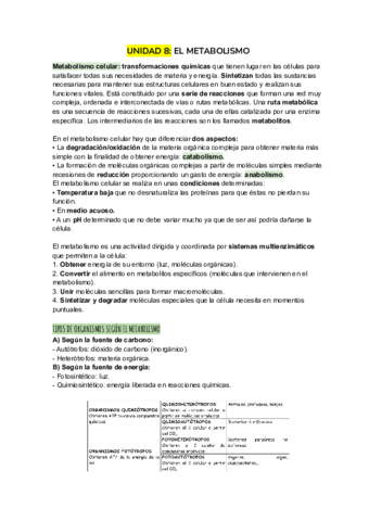 El-metabolismo.pdf