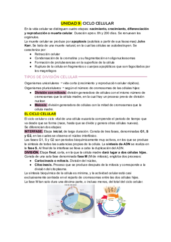 Ciclo-celular.pdf