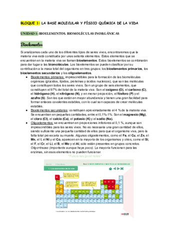 Bioelementos-y-sales-minerales.pdf