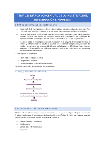 METODOLOGIA-11-MARCO-CONCEPTUAL-DE-LA-INVESTIGACION.pdf