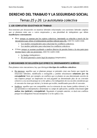Tema-25-y-26-Laboral.pdf