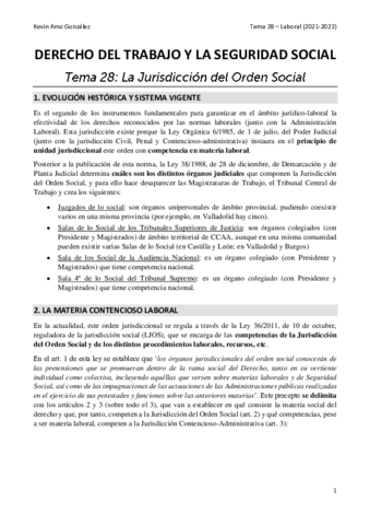 Tema-28-Laboral.pdf