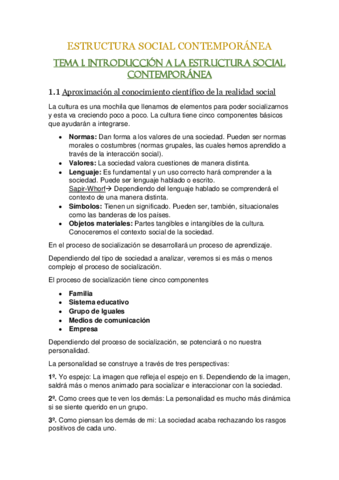 APUNTES-ESTRUCTURA-SOCIAL-CONTEMPORANEA.pdf