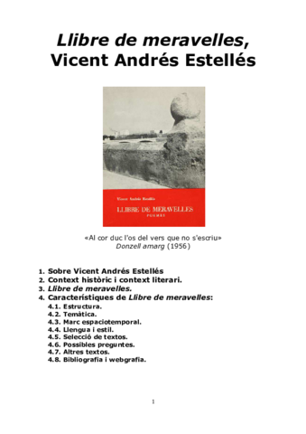 Llibre-de-meravelles.pdf