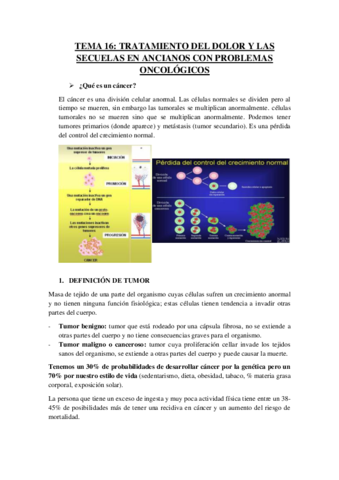 Tema-16.pdf