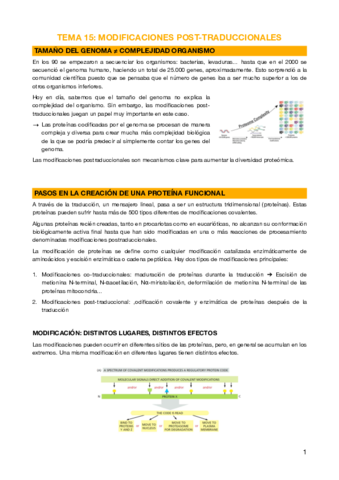 15 - Modificaciones post-traduccionales