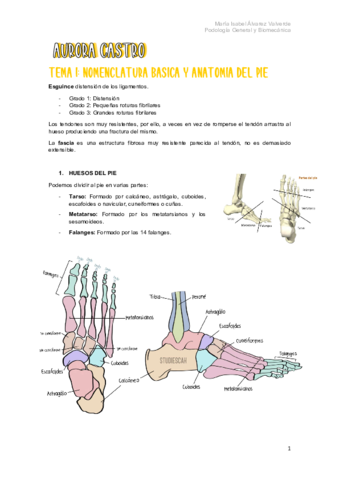 T1-Nomenclatura-basica-y-anatomia-del-pie.pdf