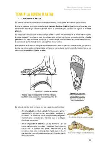T11-La-boveda-plantar.pdf