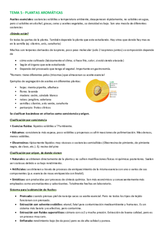 TEMA-5-PLANTAS-AROMATICAS-Y-ESPECIAS.pdf