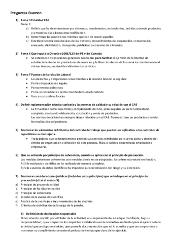 Preguntas-Examen.pdf