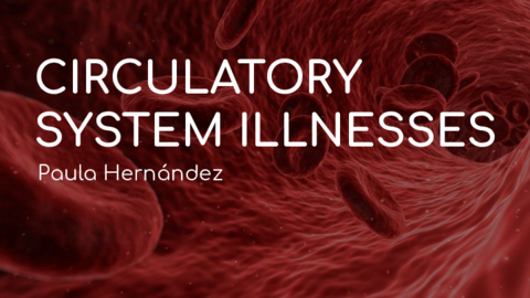 paula-hernandez-CIRCULATORY-SYSTEM-ILLNESSES.pdf