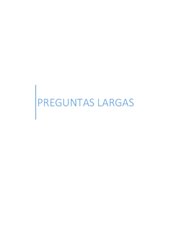 PREGUNTAS-LARGAS.pdf