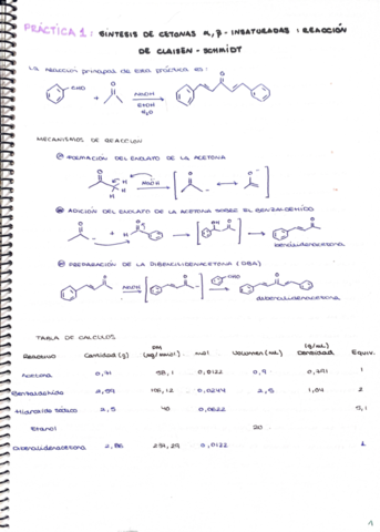 Cuaderno-Laboratorio-Organica-.pdf