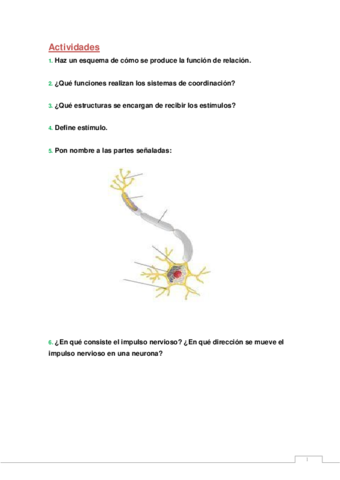 Tema-11-ACTIVIDADES-NERVIOSO-HORMONAL.pdf