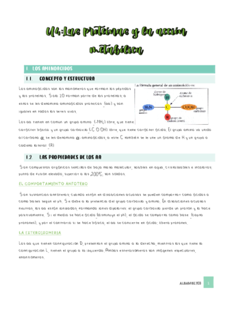 U4-las-proteinas.pdf