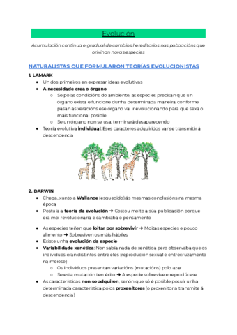 Evolucion.pdf