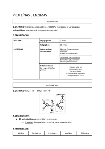 Proteinas-e-enzimas.pdf