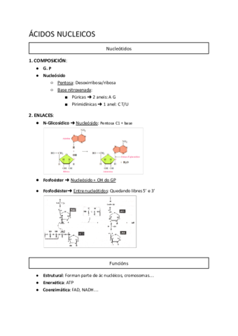 Acidos-nucleicos.pdf