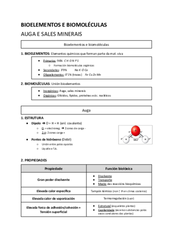 Bioelementos-e-biomoleculas-Auga-e-sales-minerais.pdf