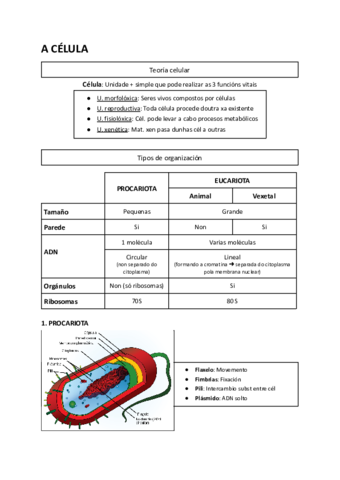 Celula.pdf